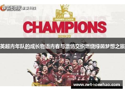 英超青年队的成长物语青春与激情交织燃烧绿茵梦想之旅