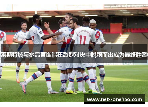 莱斯特城与水晶宫谁能在激烈对决中脱颖而出成为最终胜者