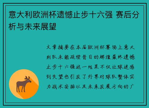 意大利欧洲杯遗憾止步十六强 赛后分析与未来展望